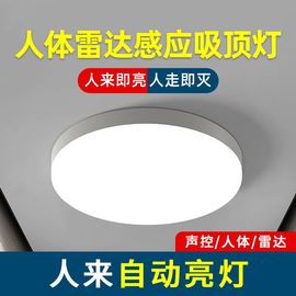 opple欧普照明感应吸顶灯LED过道走廊灯具楼梯灯楼道玄关声控灯雷