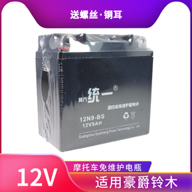 大阳大运摩托车干电瓶，12v5ah免维护干电池125鬼火踏板车110弯梁车