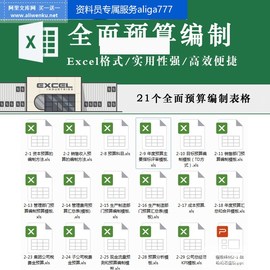 全套企业全面预算编制模板财务管理规范采购研发支出成本控制表格