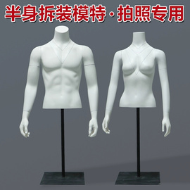 半身拍照模特道具3D镂空拆装展示架 男女可选 