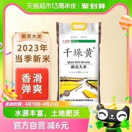 十月香千垛黄新贡大米10kg珍珠香米，当季新米苏北大米20斤