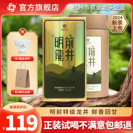 2024明前特级龙井茶，杭州龙井43号新茶春茶自己喝茶叶