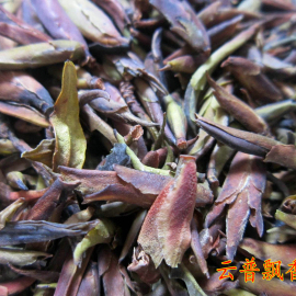 普洱茶生茶纯野生古树普洱茶紫芽芽孢 普洱茶散茶芽孢