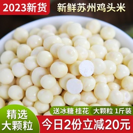 2023新鲜大颗粒苏州鸡头米500g现剥苏芡欠茨实米冰冻非干货