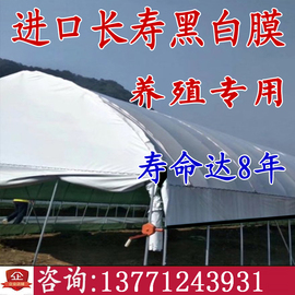 进口大棚膜温室po膜无滴膜PE养殖黑白膜加厚农用塑料膜透明膜薄膜