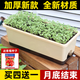 阳台种菜盆专用箱长方形蔬菜种植盆户外自吸水草莓，盆栽塑料花盆大