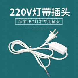 烁宇灯带电源插头220V 5050贴片3528贴片灯带电源插头led控制器