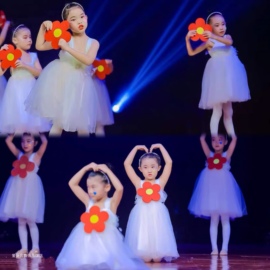 儿童白色蓬蓬纱裙，送你一朵小红花演出服幼儿园，舞蹈表演服女童