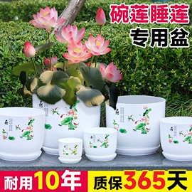 碗莲睡莲专用盆仿陶瓷树脂塑料加厚大口径无孔水培花卉水养荷花盆