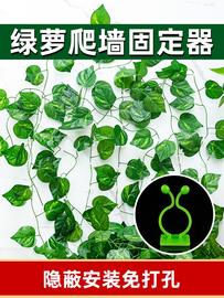 蔷薇挂钩藤蔓绿植物绿萝固定器，爬藤客厅盆栽，美化粘钩爬山虎绿藤客