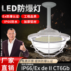 led防爆灯车间厂房仓库，加油站防水灯罩，隔爆型吊灯防尘超亮照明灯