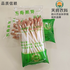 花生芽新鲜花生苗250g小袋独立包装充氮保鲜水培蔬菜净菜火锅配菜