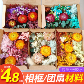 混合干花永生花diy材料包手工(包手工)制作团扇相框幼儿园团建绣球