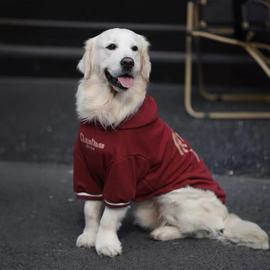 大狗衣服秋冬宠物狗加绒卫衣杜宾金毛拉布拉多边牧狗狗衣服大型犬