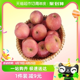 山东烟台红富士苹果6粒装单果70mm+脆甜可口新鲜水果整箱