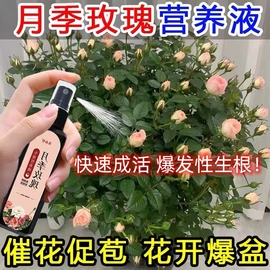 月季玫瑰蔷薇通用营养液强力生根剂催芽花大肥王喷壶花卉植物肥料