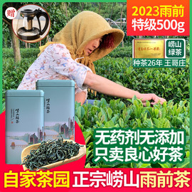 崂山绿茶2023新茶茶叶春茶，浓香型500g特级散装豆香礼盒装青岛特产