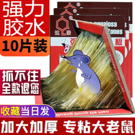 10张达豪强力贴粘鼠板灭超大小老鼠贴粘老鼠胶家用捉捕鼠加大加厚