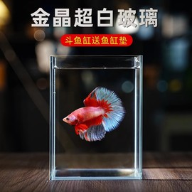 斗鱼专用缸桌面生态，鱼缸超白玻璃水族箱客厅，家用造景透明小鱼缸