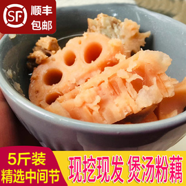 湖北新鲜粉藕洪湖深水藕煲汤面藕炖汤糯米，藕现挖现发5斤