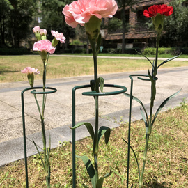 园艺花卉支撑铁线莲花架爬藤架子花支架植物支架杆扶直架固定牵引