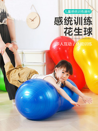 花生球儿童感统训练器材家用宝宝前庭平衡大龙球健身按摩瑜伽球