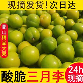 三月李子新鲜应当季早熟三华脆李酸李子孕妇水果10斤整箱