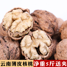 新货云南薄皮核桃野生无漂白纸，皮老树干核桃孕妇坚果散装年货