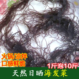 龙须菜海发菜干货250克海菜海藻丝，海草凉拌火锅食材福建霞浦特产