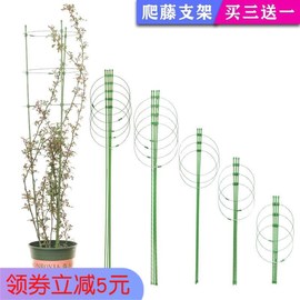 爬藤架花架植物攀爬架室内月季藤本支架花盆园艺塑料插片3片装