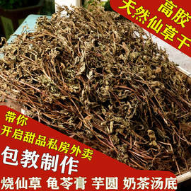 仙草干仙草冻黑凉粉草粿草汁正宗仙人粄草龟苓膏烧仙草新鲜草干