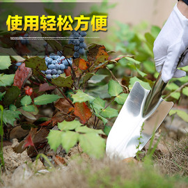 不锈钢加厚铲子家庭园艺盆栽花园种植铲园艺工具花卉绿植专用