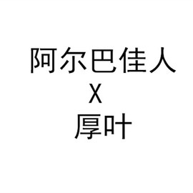 小柚子园艺2024年杂交多肉植物种子 阿尔巴佳人杂厚叶月影