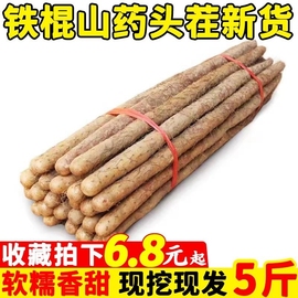 铁棍山药正宗温县垆土淮，山药河南焦作新鲜5斤怀山药