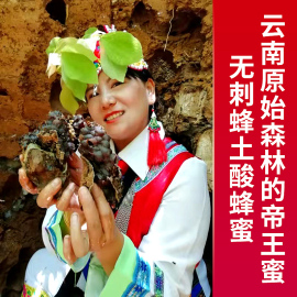 云南纯正原始森林高山野生无刺土酸蜂蜜农家自宝宝，孕妇食用百花蜜