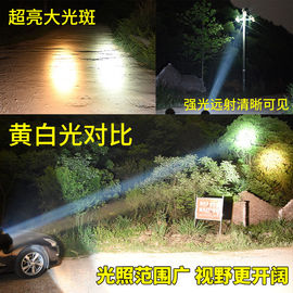 光头戴式手电筒鱼灯头灯防水大功率超亮黄锂电夜钓可充电远射