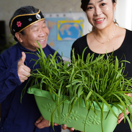 韭菜根苗韭菜阳台盆栽，现挖紫红根韭菜籽四季有机蔬菜种子独根红孑