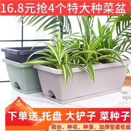 种菜盆长条霍伦花盆塑料家庭阳台种植箱种花蔬菜长方形特大种植槽