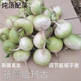 新疆恰玛古新鲜蔬菜碱性食物5斤调节酸碱平衡非萝卜带泥