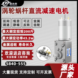 微型直流减速电机24v12v直角蜗轮蜗杆5840-555低速大扭力小型马达