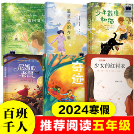 2024寒假百班千人推荐5五年级小学生课外阅读书籍儿童必读指间阳光奇迹少年戴维和(戴维和)猫追星星的少年尼姆的老鼠少女的红衬衣正版