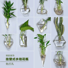 挂壁挂水培绿萝花瓶墙上水养，植物玻璃瓶器皿挂墙创意透明花盆装饰