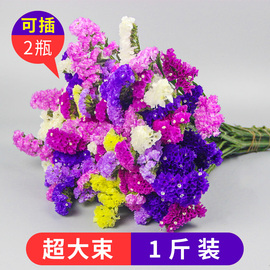 云南满天星勿忘我干花花束插客厅摆设干花真花装饰摆件鲜风干天然