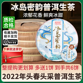 冰岛古树普洱生茶2020年春茶茶叶蜜香生普洱茶云南七子饼茶口粮茶