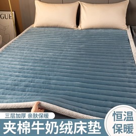 牛奶绒床垫软垫家用冬季保暖床铺，垫褥单人防滑垫子厚床单垫被褥子