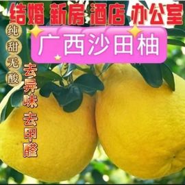 正宗广西容县沙田柚子新鲜水果，纯甜白心红心，蜜柚梅州沙田柚当季