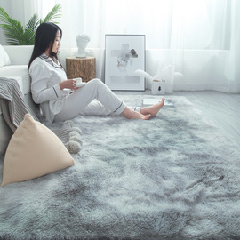 丝毛地毯客厅茶几卧室，满铺可爱网红床边毛毯地，垫子pv绒地毯