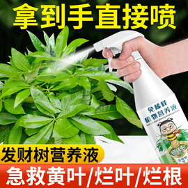 免稀释发财树营养液专用肥花肥料室内盆栽植物金钱树土水培叶面肥