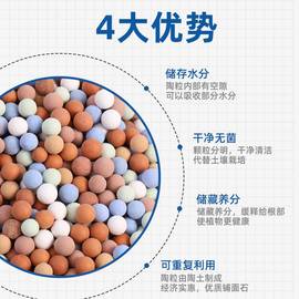 彩陶粒彩色陶粒水培多肉铺面陶粒花卉盆栽装饰陶粒球陶粒