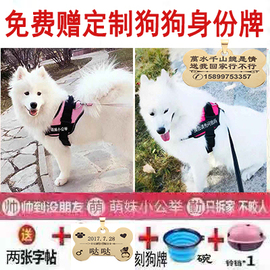 狗狗牵引绳中大型犬胸背带金毛狗链哈士奇萨摩耶外出狗牌定制刻字